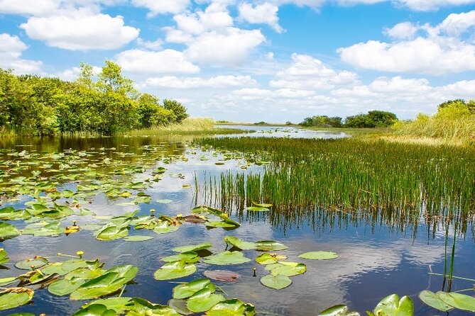 Everglades Express Small Group Tour From Miami With Airboat Ride - Booking and Cancellation Policy