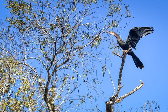 Everglades Guided Kayak Tour - Cancellation Policy