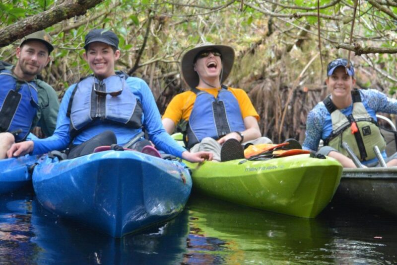Everglades Kayak Safari Adventure Through Mangrove Tunnels - Highlights and Experience