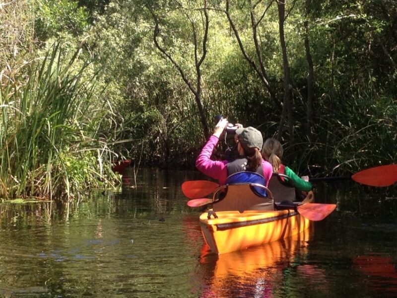 Everglades Kayak Safari Adventure Through Mangrove Tunnels - What to Bring