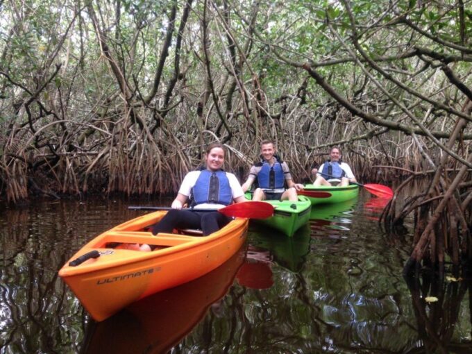 Everglades Kayak Safari Adventure Through Mangrove Tunnels - Customer Reviews
