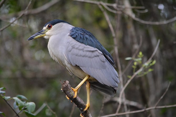 Everglades Kayak Safari Adventure Through Mangrove Tunnels - Cancellation Policy Details
