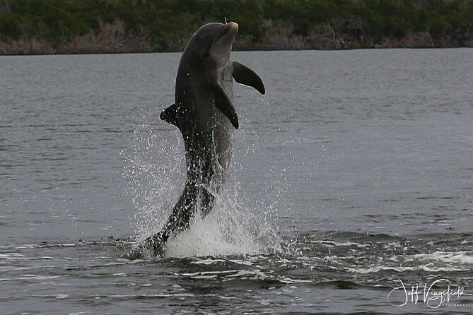 Everglades Manatee, Dolphin and Birding Boat Tour (2 hours) - Exploring the Itinerary in Detail