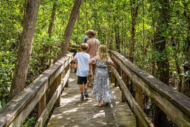 Everglades: Mangrove, Grassland Airboat Tours, & Boardwalk - Pricing and Inclusions