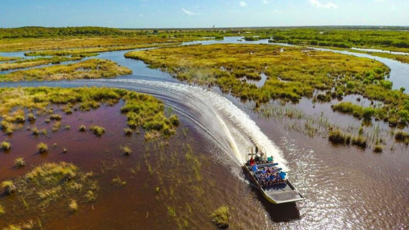 Everglades: Mangrove, Grassland Airboat Tours, & Boardwalk - Animal Sanctuary Visit