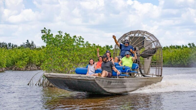 Everglades: Mangrove Maze Airboat Tour and Boardwalk - Activities and Highlights