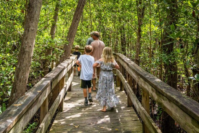 Everglades: Mangrove Maze Airboat Tour and Boardwalk - Everglades City Boardwalk