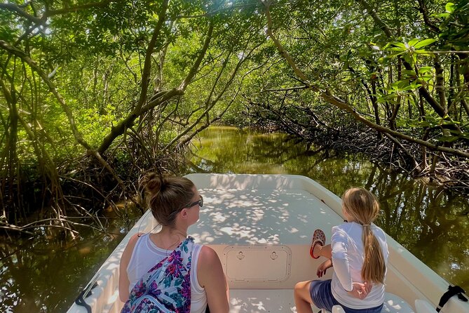 Everglades Mangrove Wilderness Boat Tour - Meeting and Pickup Details