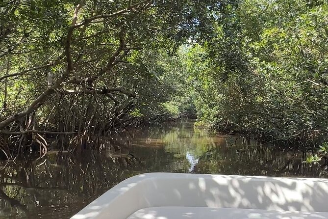 Everglades Mangrove Wilderness Boat Tour - Preparing for the Tour