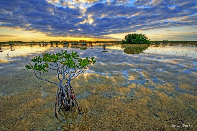 Everglades Mangrove Wilderness Boat Tour - Booking and Cancellation Policy