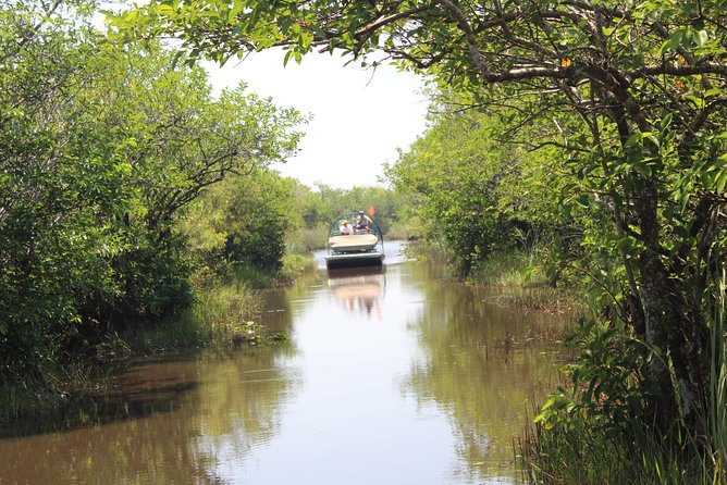Everglades & Miami City Tour With Experienced Guide in Small Group - Important Considerations