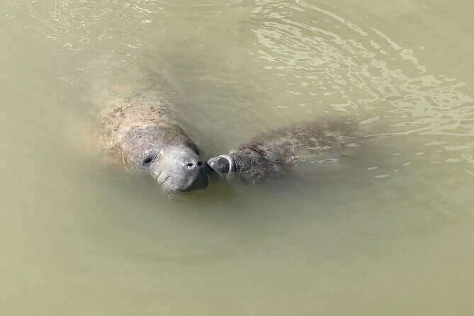 Everglades National Park: 3 Hikes + 90 minute Boat Tour + Lunch - Summary