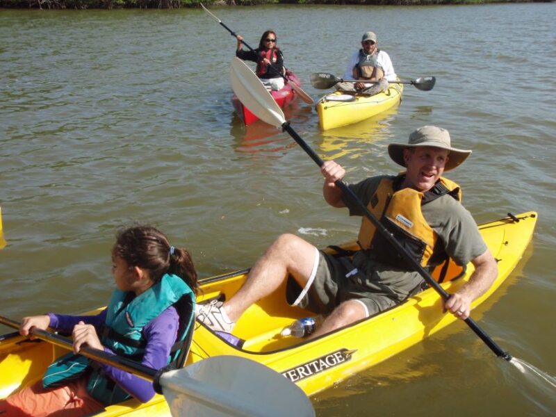 Everglades National Park 3-Hour Kayak Eco Tour - Inclusions