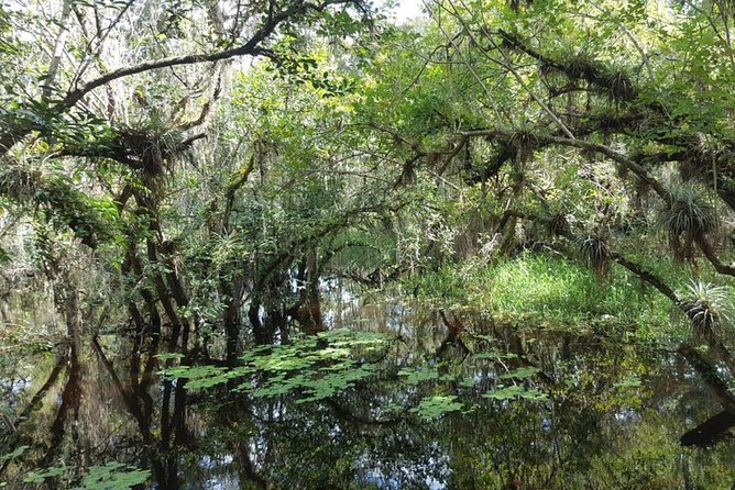 Everglades National Park Biologist Led Adventure: Cruise, Hike + Airboat - Meeting and Pickup