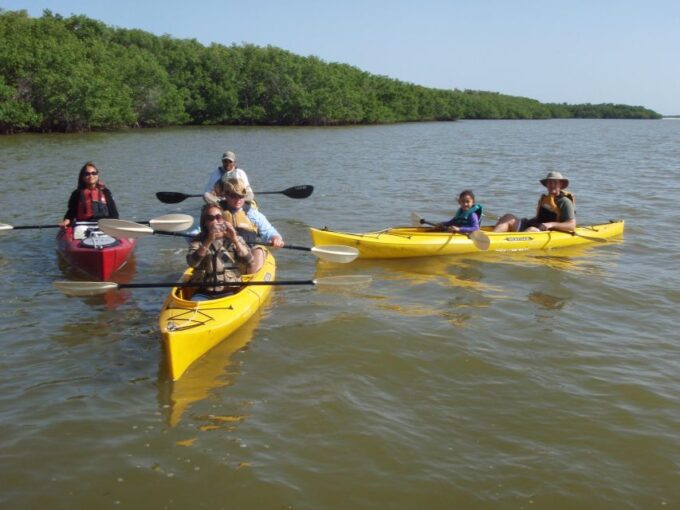 Everglades National Park: Boat Assisted Kayak Eco Tour - Tour Activities
