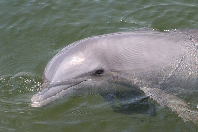 Everglades National Park Boat Tour - Booking and Cancelation Policy