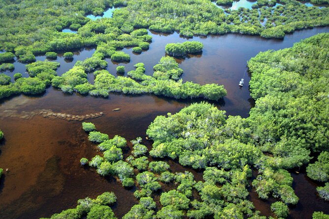 Everglades National Park Boat Tour - Traveler Reviews and Recommendations