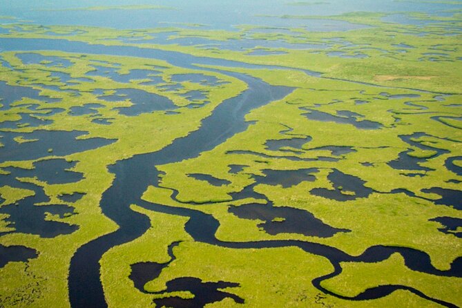 Everglades National Park Boat Tour - Recap