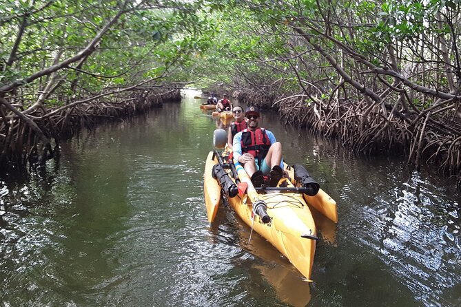 Everglades National Park Kayak/Learn to Sail Tour - Restrictions and Considerations