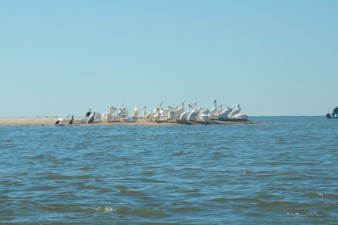 Everglades National Park Kayak/Learn to Sail Tour - Navigating to the Main Entrance