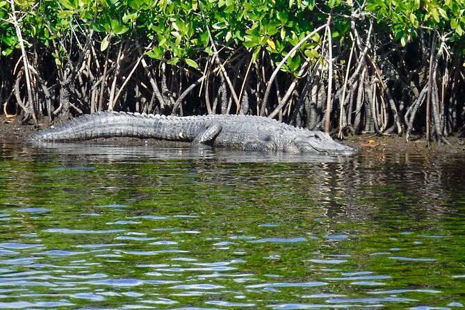 Everglades National Park Kayak/Learn to Sail Tour - Launching the Kayaks at the Boat Ramp
