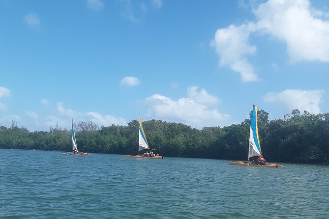 Everglades National Park Kayak/Learn to Sail Tour - Activity End and Returning to the Meeting Point