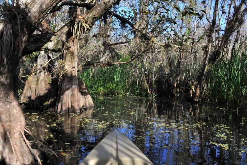 Everglades National Park: Mangrove Tunnel Kayak Eco-Tour - Meeting Point and Important Information