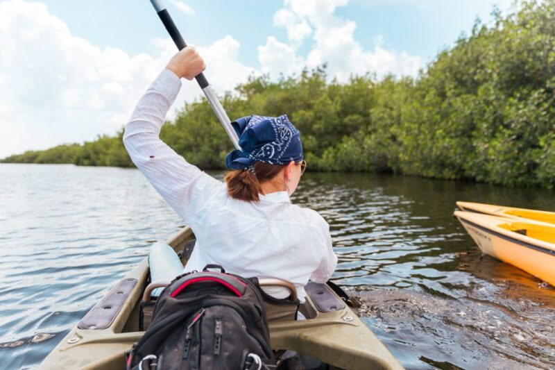 Everglades National Park: Mangrove Tunnel Kayak Eco-Tour - Exploring the Mangrove Tunnel