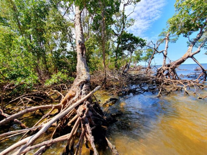 Everglades National Park: Motorboat Eco Tour - Meeting Details