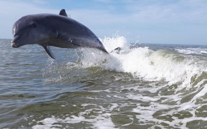 Everglades National Park: Motorboat Eco Tour - Booking Information