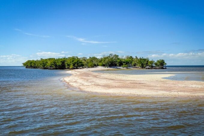Everglades National Park: Pontoon Boat Tour & Boardwalk - Customer Reviews