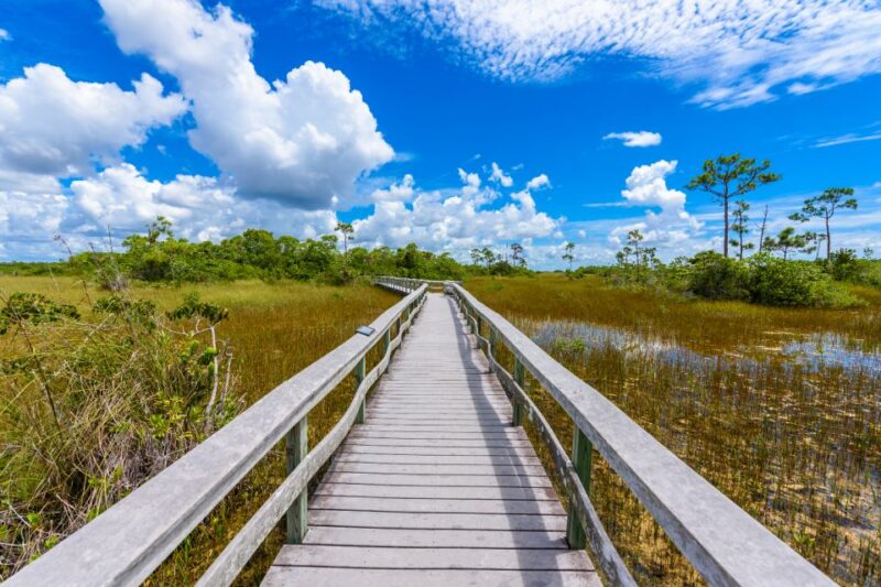 Everglades National Park: Self-Guided Driving Audio Tour - What to Bring and Important Information