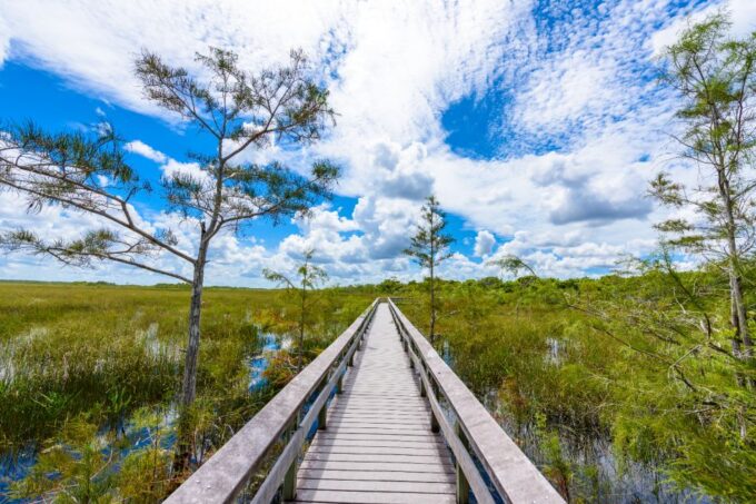 Everglades National Park: Self-Guided Driving Audio Tour - Ecosystem Exploration