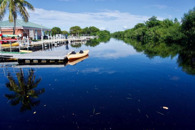 Everglades National Park: Self-Guided Driving Audio Tour - Wildlife Encounters