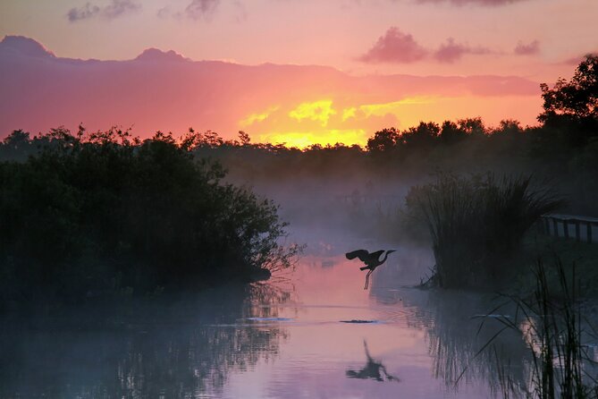 Everglades National Park Self Guided Driving Audio Tour - Accessibility and Preparation