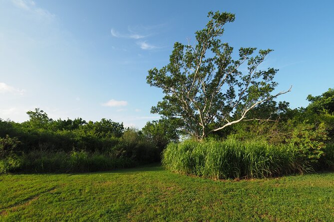 Everglades National Park Self Guided Driving Audio Tour - User Feedback and Recommendations