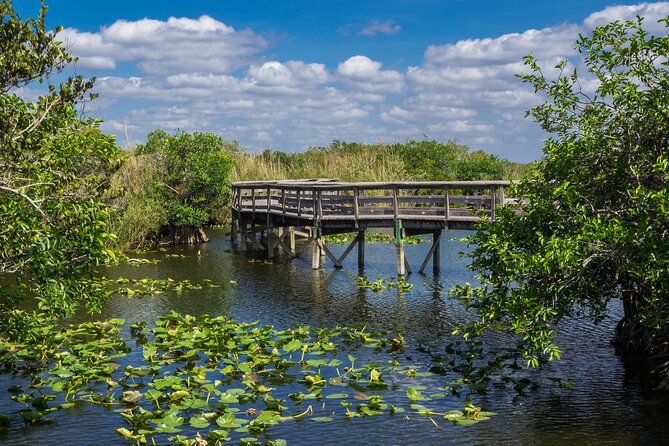 Everglades National Park Self Guided Driving Audio Tour - Engaging Storytelling