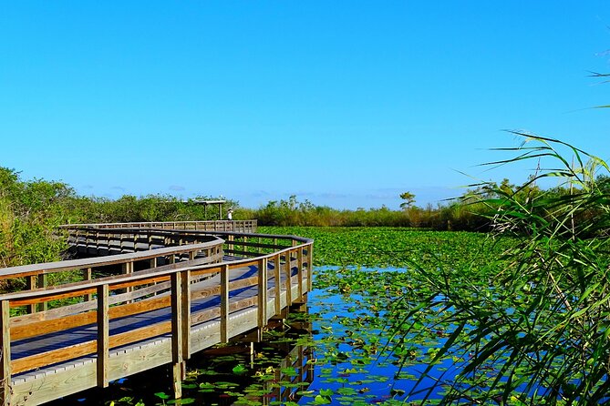 Everglades National Park Self Guided Driving Audio Tour - Flexible Timing