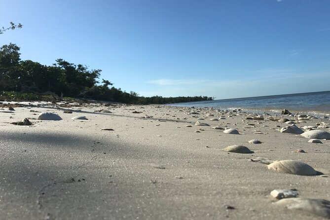 Everglades National Park Small Group Guided Boating and Walking Expedition - Small-Group Naturalist-Led Tour