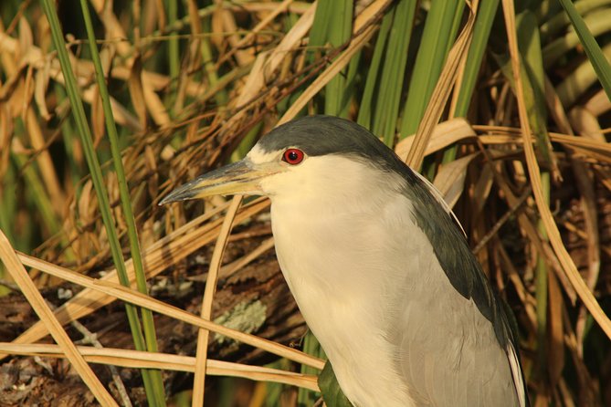 Everglades National Park Small Group Guided Boating & Walking Tour Expedition - Booking and Cancellation