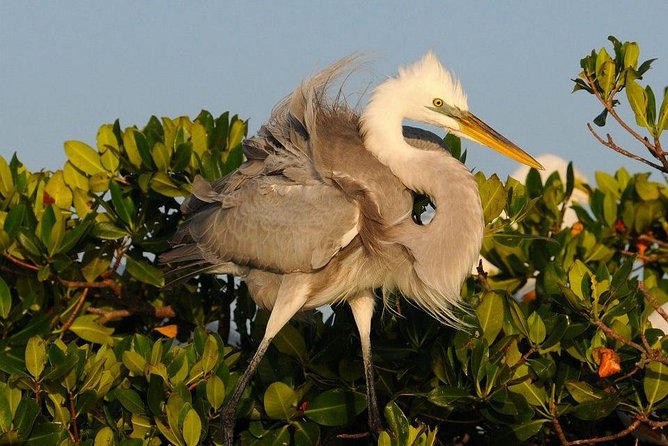 Everglades National Park Small Group Guided Boating & Walking Tour Expedition - Whats Included