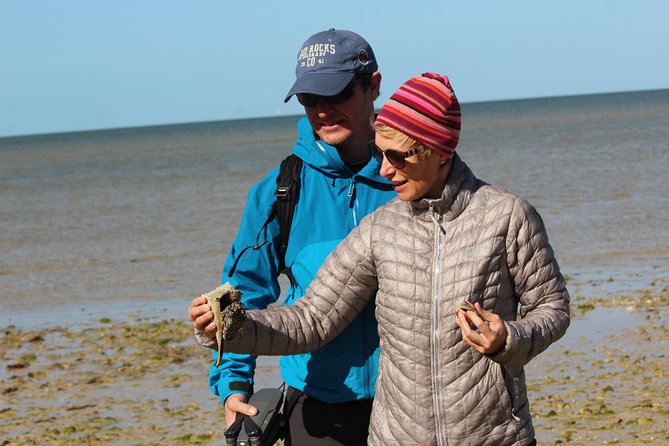 Everglades National Park Small Group Guided Boating & Walking Tour Expedition - Meeting and Pickup