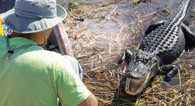 Everglades: Sawgrass Park Airboat Adventure Package - Experience Highlights