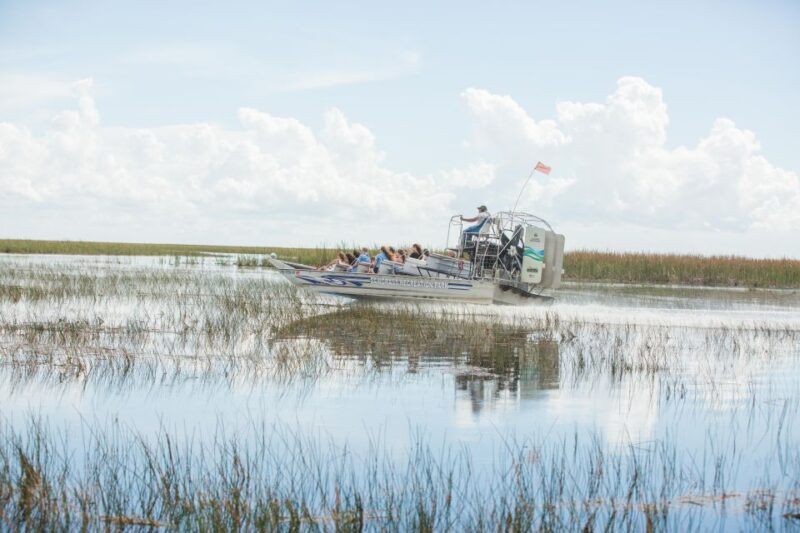 Everglades: Sawgrass Park Day Time Airboat Tour & Exhibits - Wildlife and Ecosystem Insights
