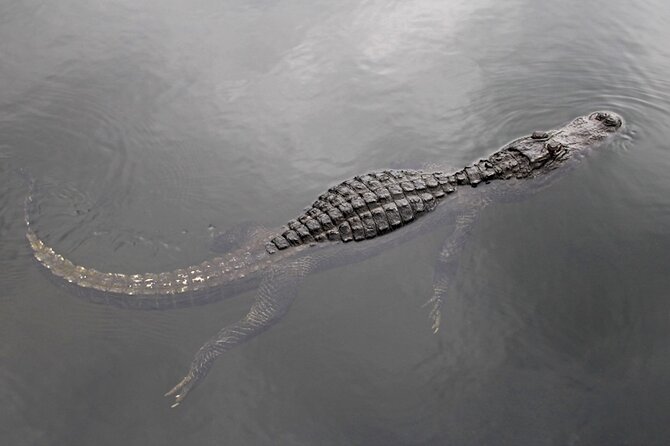 Everglades Small Group Express From Fort Lauderdale +Airboat Ride - Pickup Information