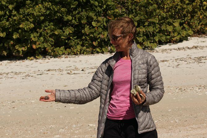 Everglades Small Group Guided Boating & Walking Tour Expedition - Practical Tips for Planning Your Trip