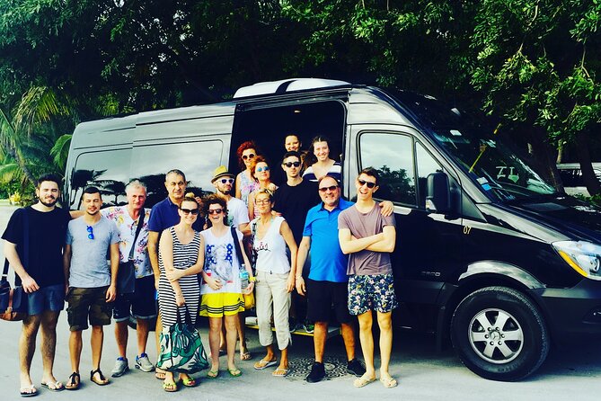Everglades Tour From Miami With Transportation - Just The Basics