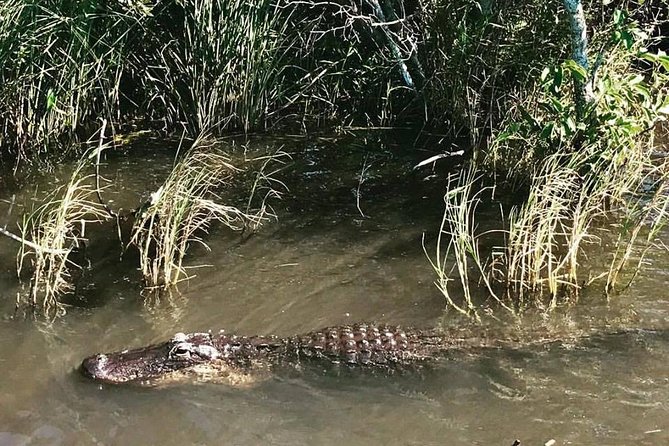 Everglades Tour From Miami With Transportation - Safety Measures