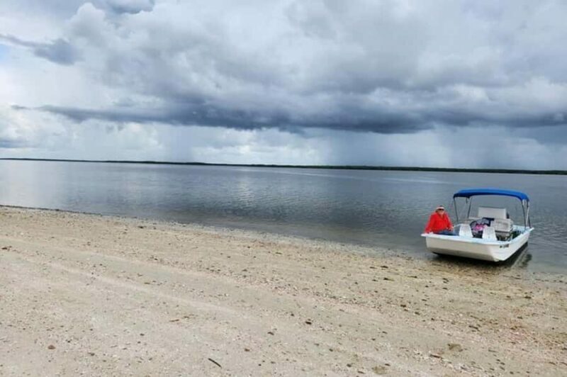 Everglades Tour with 2 Boat Rides, Hike and Lunch - The Itinerary: What to Expect on Your Day in the Everglades