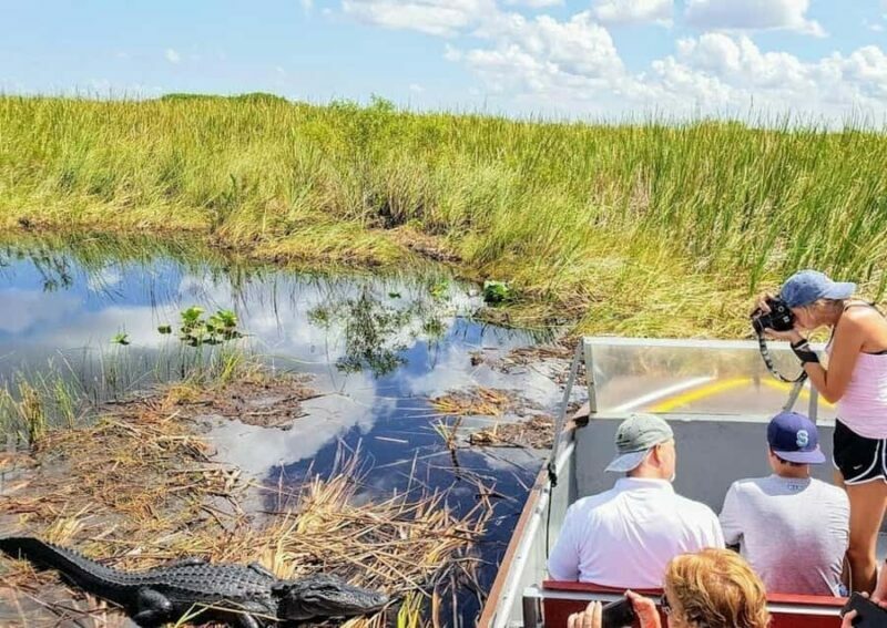 Everglades Tour with 2 Boat Rides, Hike and Lunch - The Sum Up